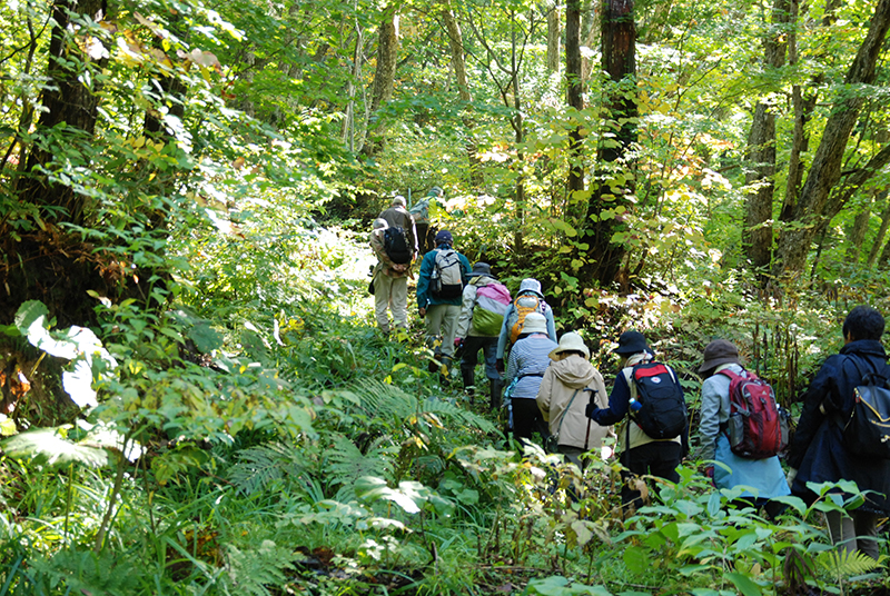 モニターツアー写真