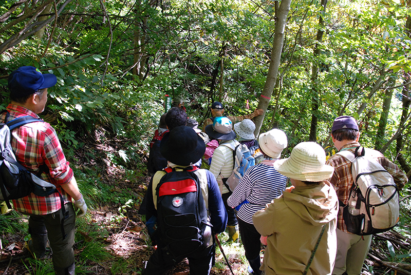 モニターツアー写真