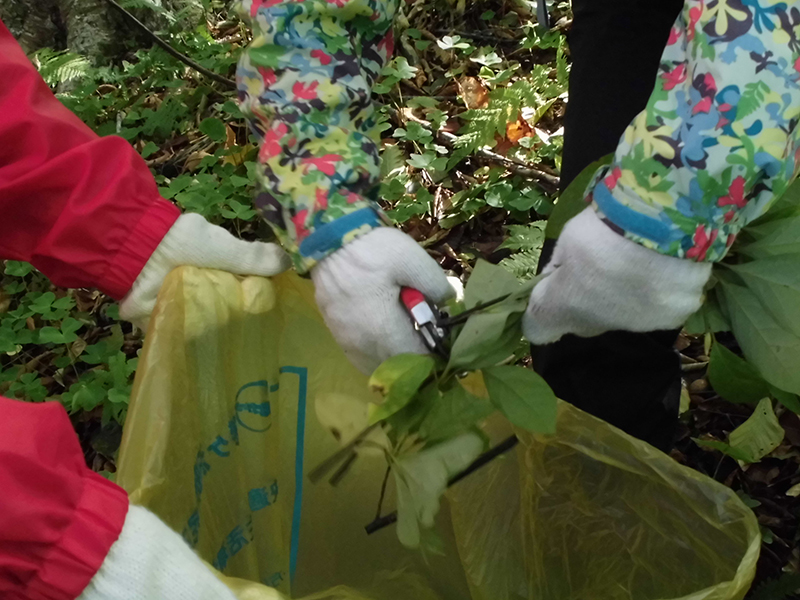 モニターツアー写真