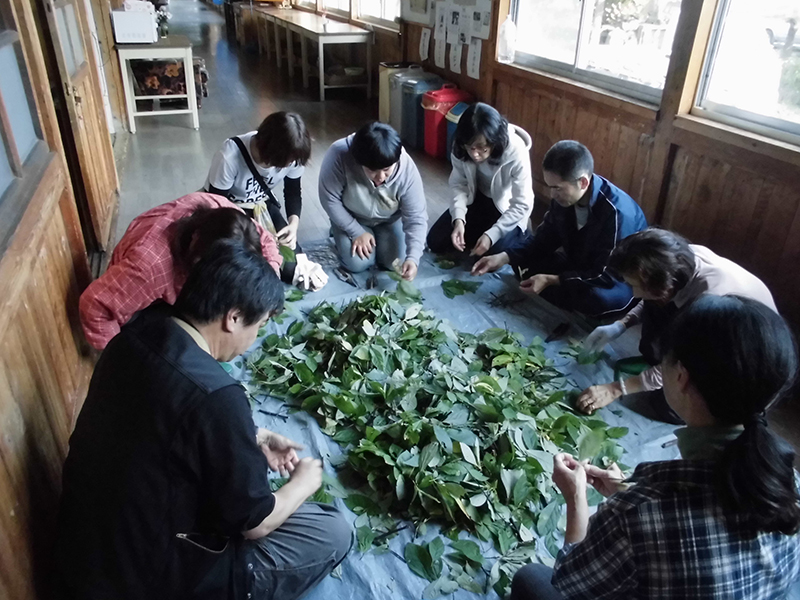 モニターツアー写真