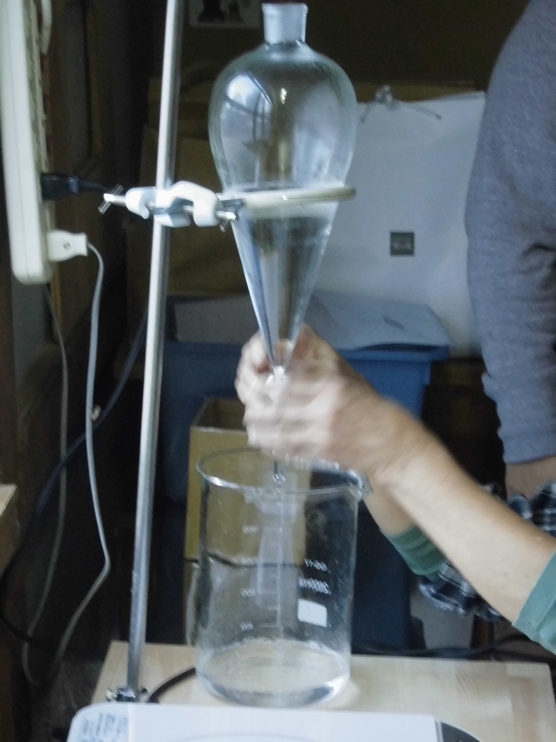 モニターツアー写真